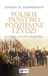 Ekspresowa dostawa Polskie Państwo Podziemne i Żydzi w czasie II wojny światowej