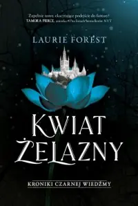 Kwiat Żelazny. Kroniki Czarnej Wiedźmy. Tom 2 Rabat