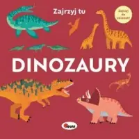 Oferta czasowa Diozaury. Zajrzyj tu