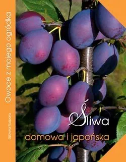 Sprawdź teraz Śliwa domowa i japońska