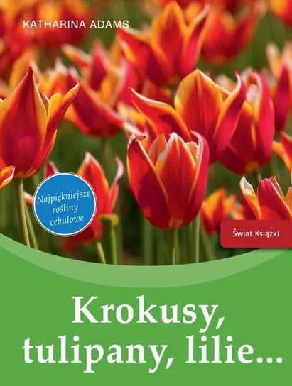 Ostatnia szansa Krokusy, tulipany, lilie...