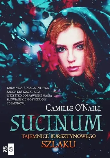 Sucinum. Tajemnice Bursztynowego szlaku Oferta czasowa