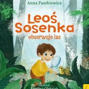 Tani LEOŚ SOSENKA OBSERWUJE LAS