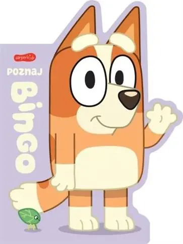 Cena promocyjna POZNAJ BINGO. KSIĄŻECZKI KARTONOWE