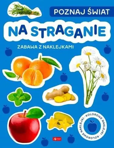 Obniżka ceny POZNAJ ŚWIAT. ZABAWA Z NAKLEJKAMI. NA STRAGANIE