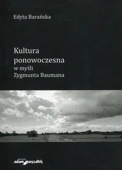 Wyjątkowa oferta Kultura ponowoczesna w myśli Zygmunta Baumana