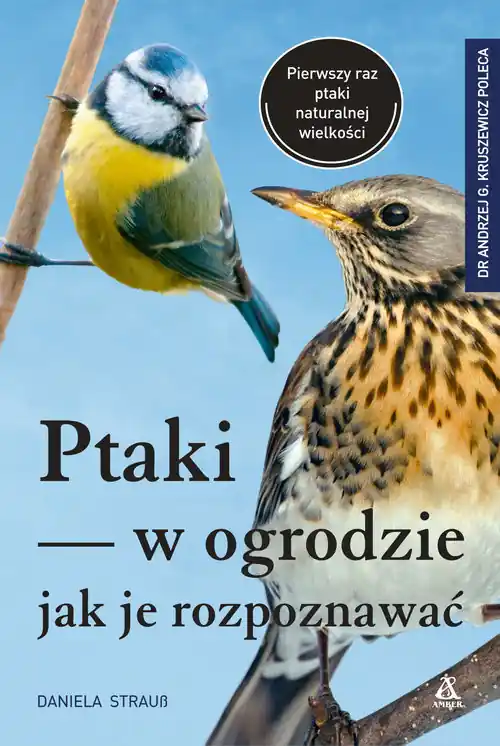 Ptaki w ogrodzie Jak je rozpoznawać Cena promocyjna