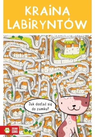 Oferta czasowa Kraina labiryntów - praca zbiorowa