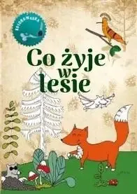 Co żyje w lesie Kolorowanka - Wojciech Gil Ekspresowa dostawa