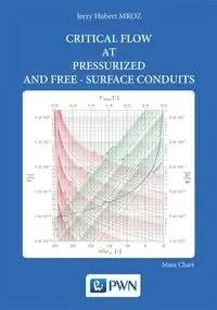 Łatwy zwrot Critical flow at pressurized and ferr-surface.. - Jerzy Hubert Mroz