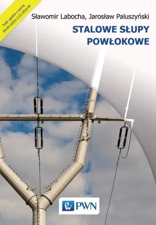 Stalowe słupy powłokowe - Sławomir Labocha, Jarosław Paluszyński Dostępne od ręki