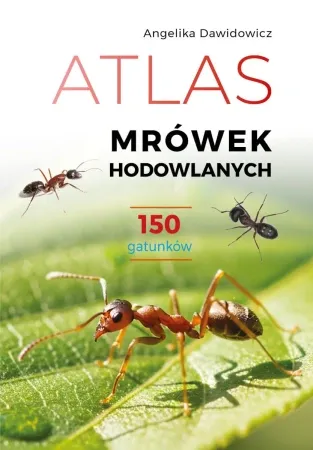 Atlas mrówek hodowlanych - Angelika Dawidowicz Dodaj do koszyka