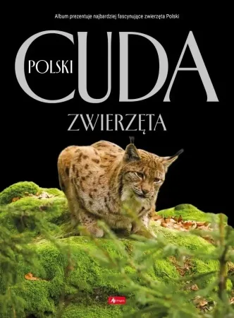 Cuda Polski. Zwierzęta - Łukasz Przybyłowicz Darmowy zwrot